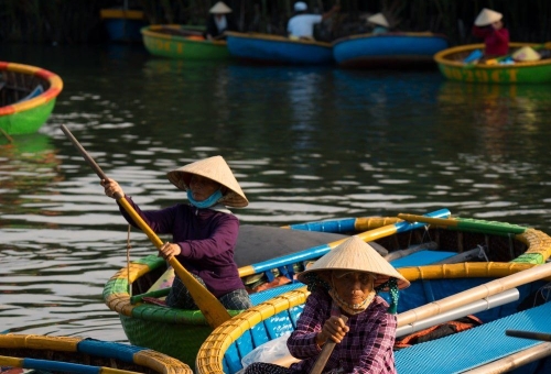 Seven-Mau Coconut Forest – A Unique Nature and Cultural Experience in Hoi An